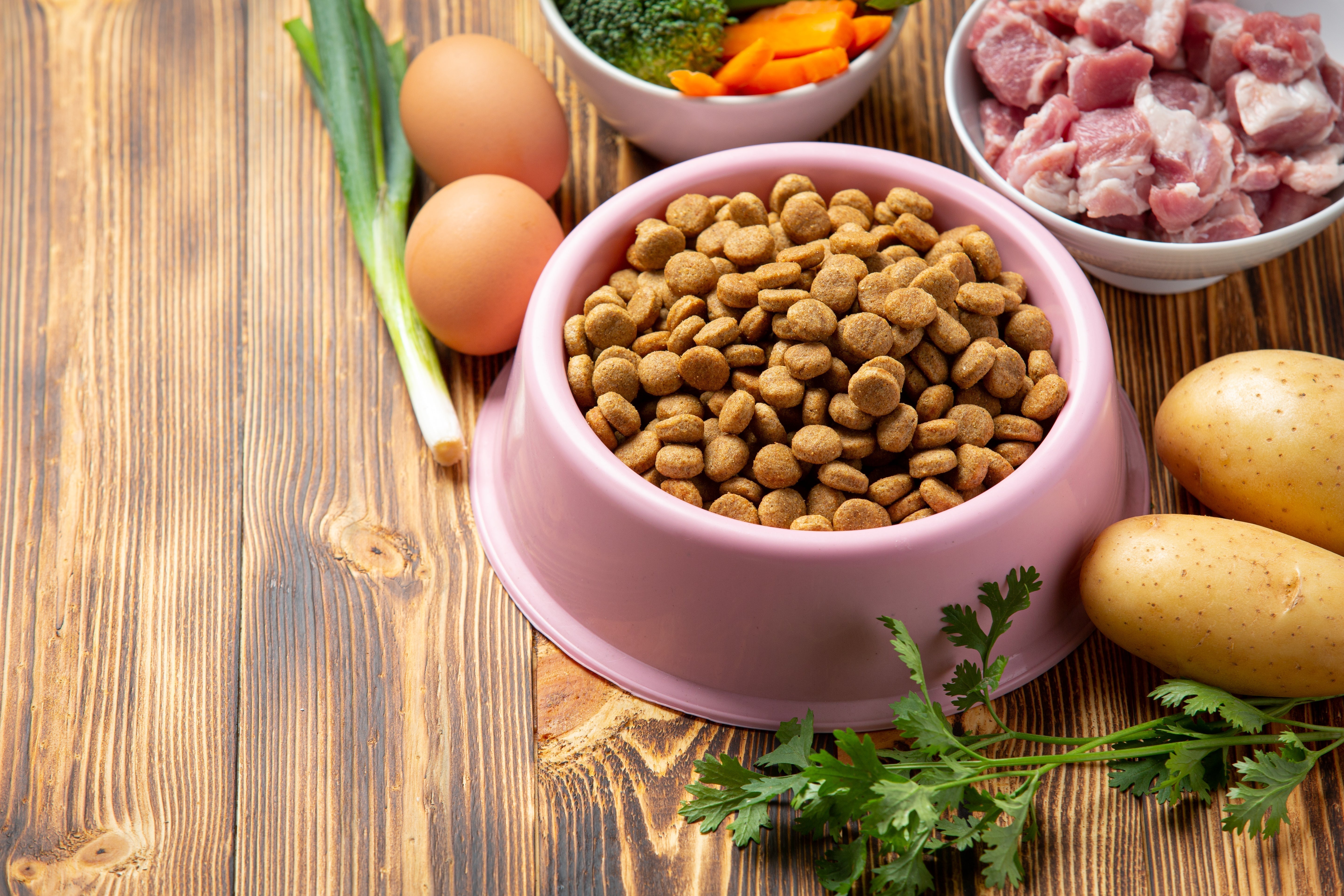 best dog food india