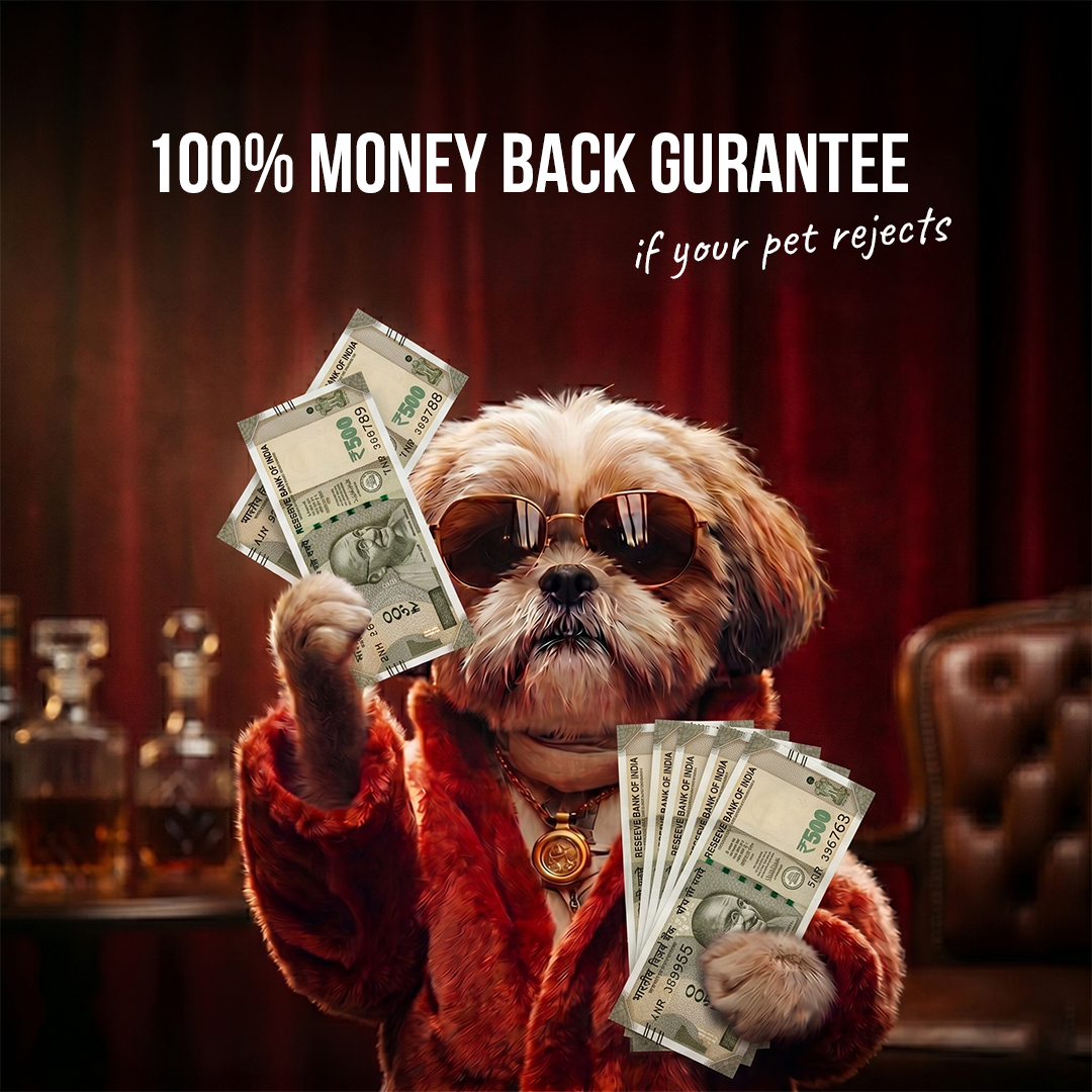 Dog Monthly Essentials (100% Money back guarantee)