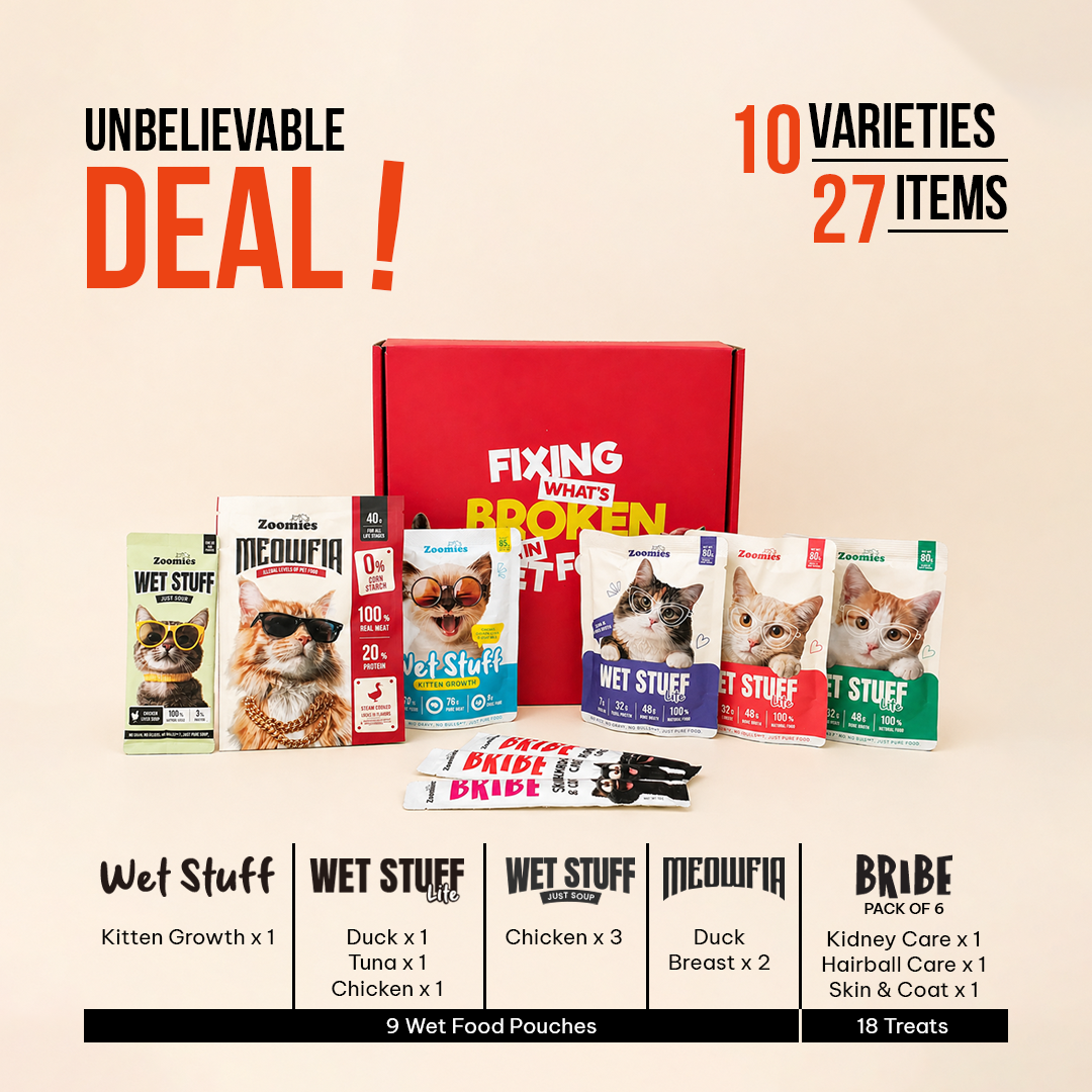 Wet Kitten Food Trial Pack