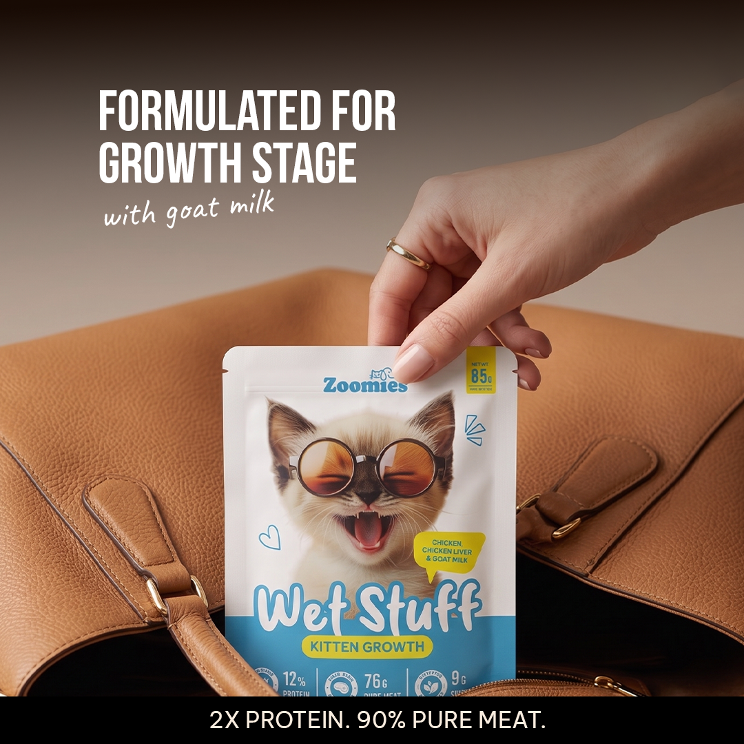Wet Kitten Food Trial Pack