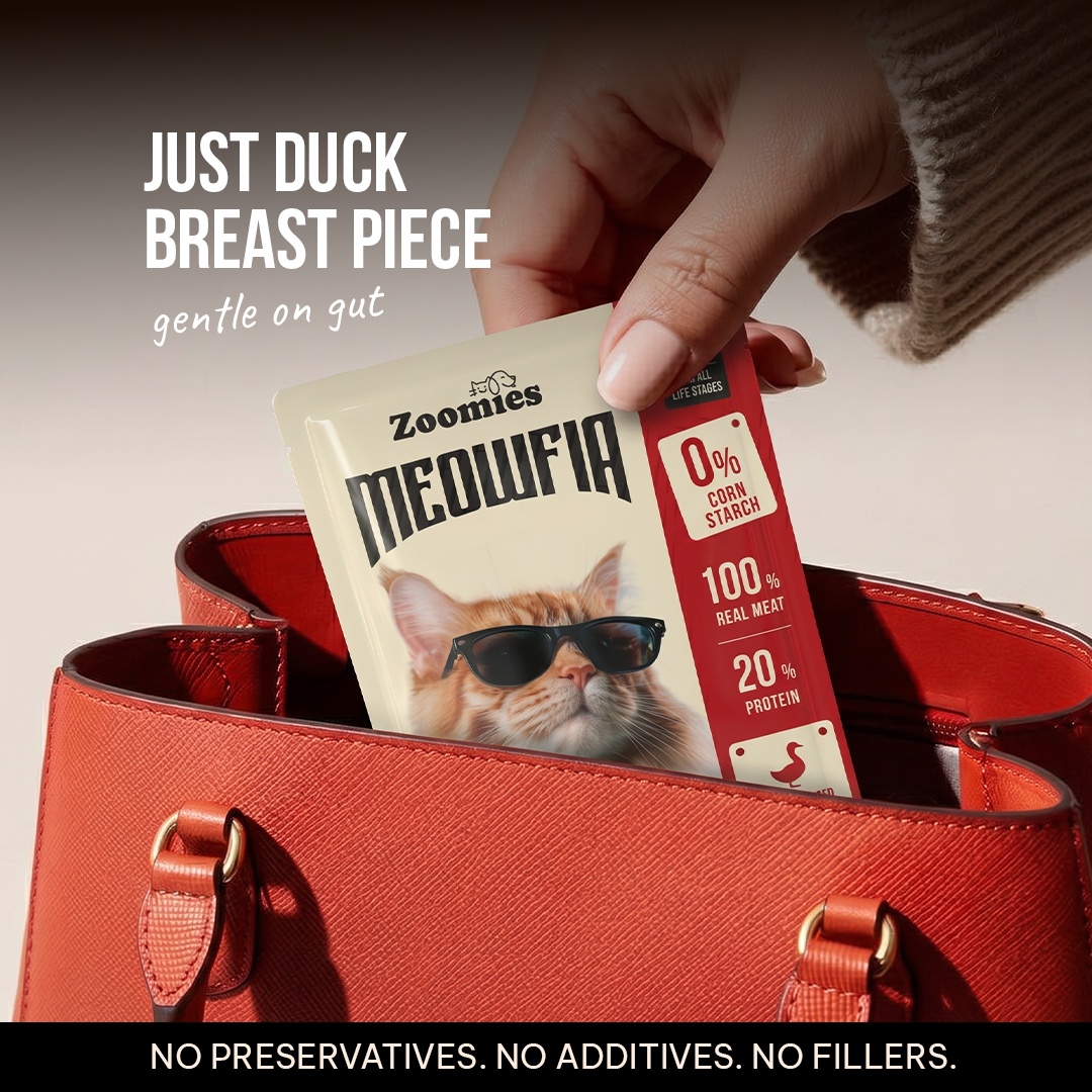 Adult Cat Wet Food Trial Pack & Treats