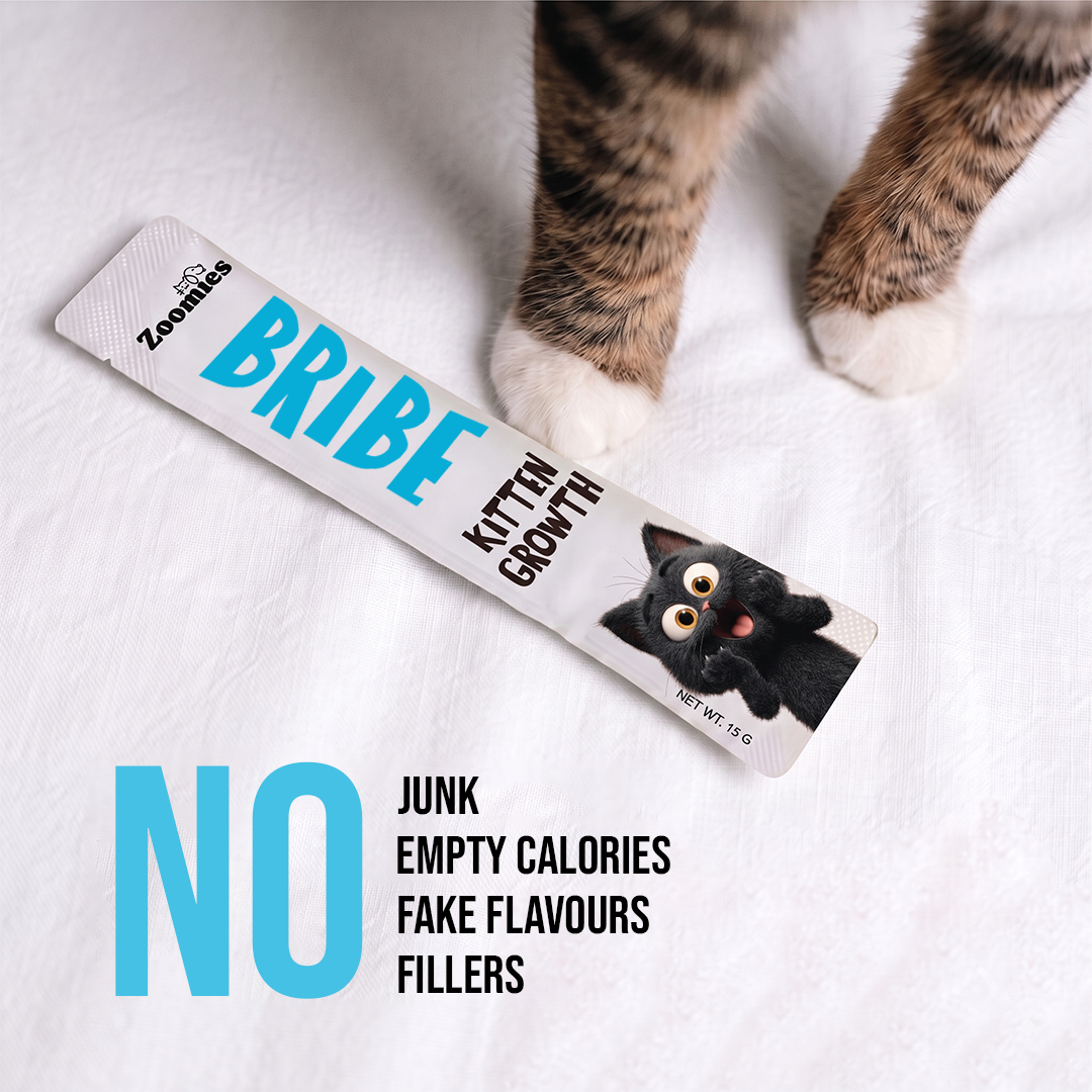 BRIBE- Kitten Growth (15g) | Pack of 5