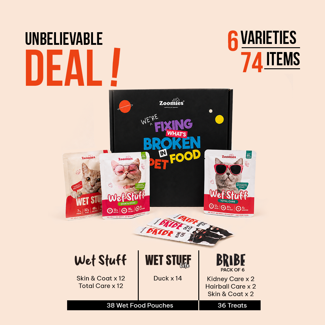 Adult Monthly Essentials