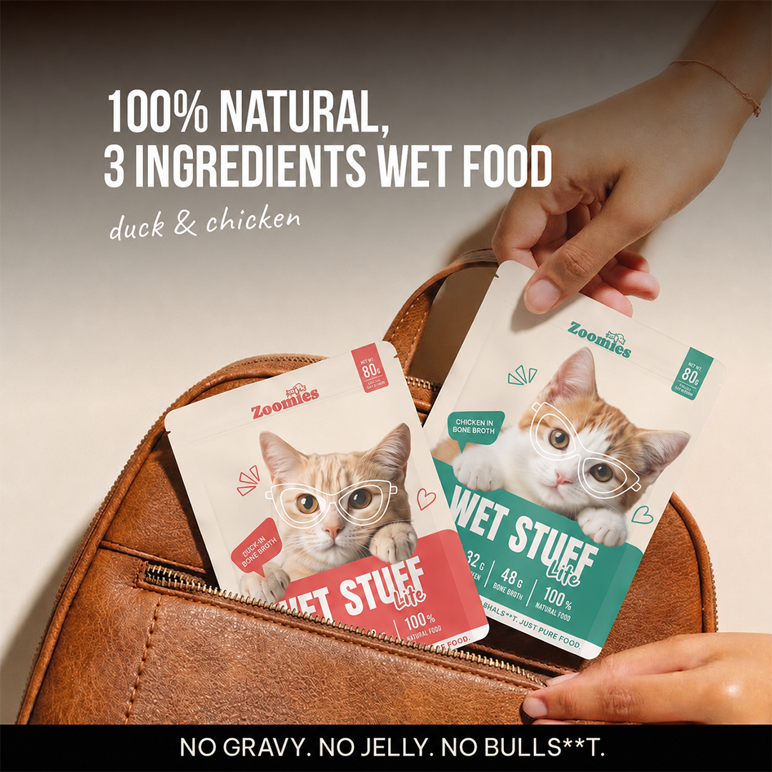 Kitten Monthly Essentials