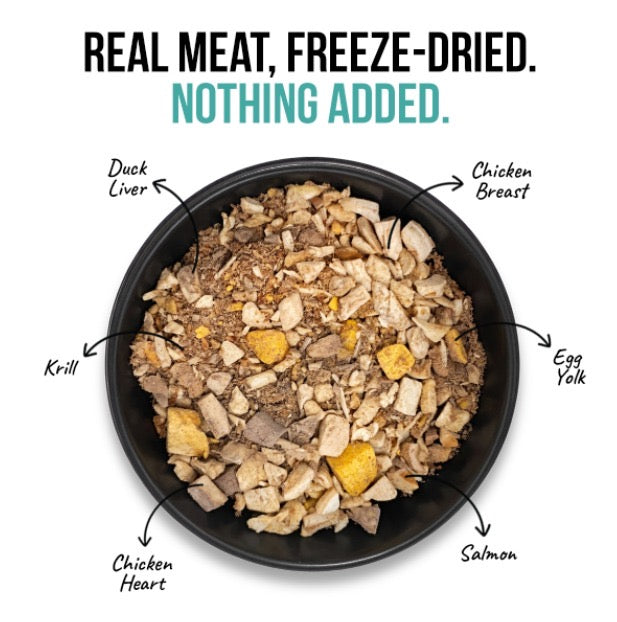 Kitten Monthly Nutrition Pack with SuperMeal