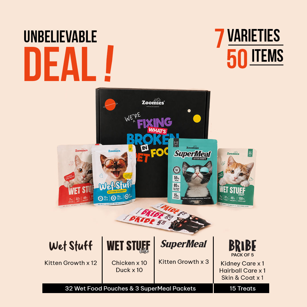 Kitten Monthly Nutrition Pack with SuperMeal