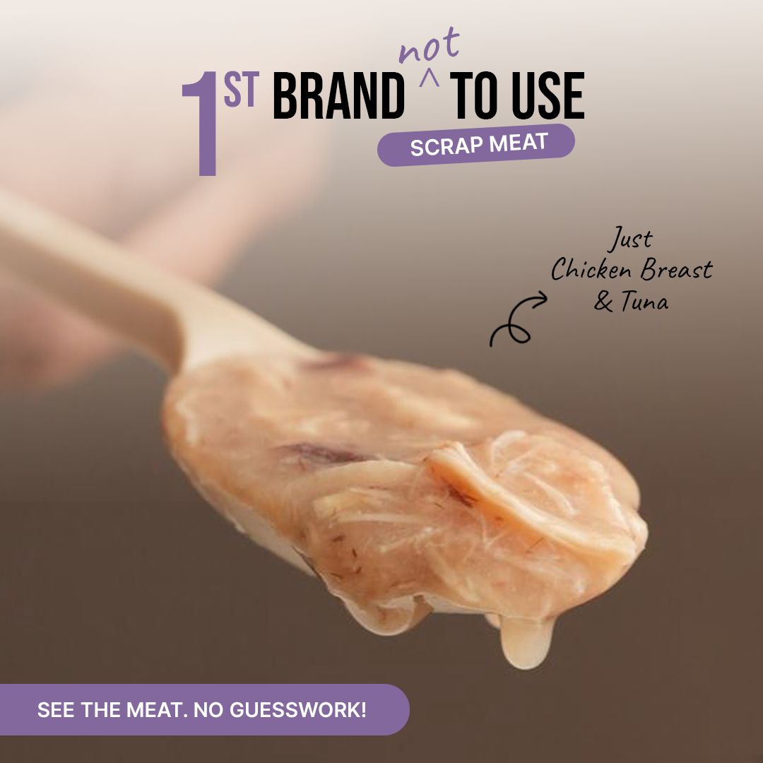 Wet Stuff Lite - Tuna in Bone Broth (Chicken reast)