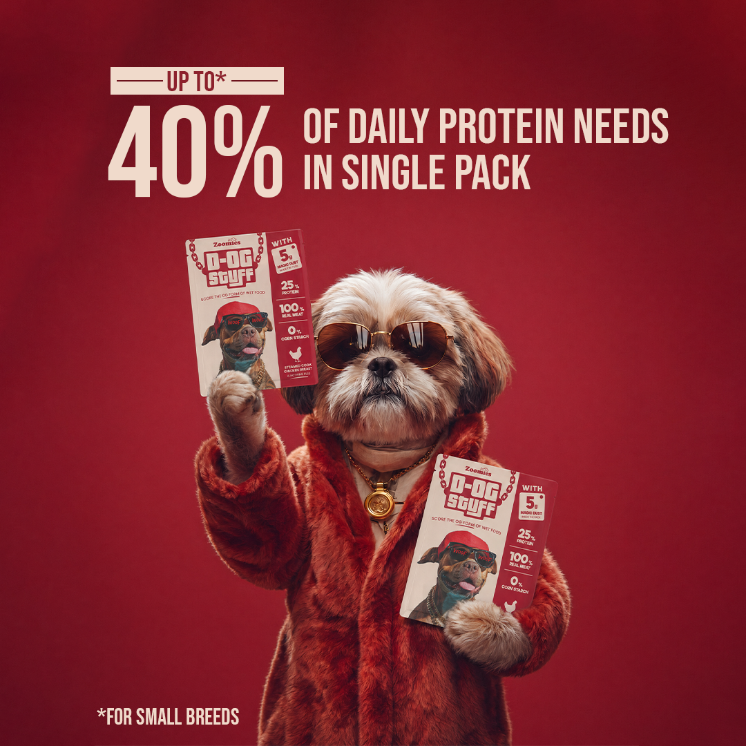 Protein food for dogs