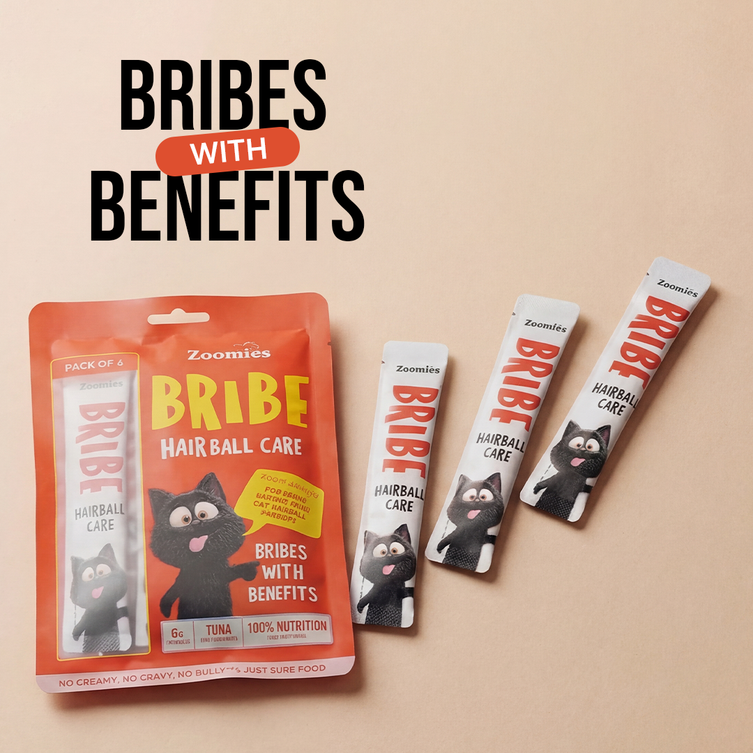 Bribe - Hairball Care