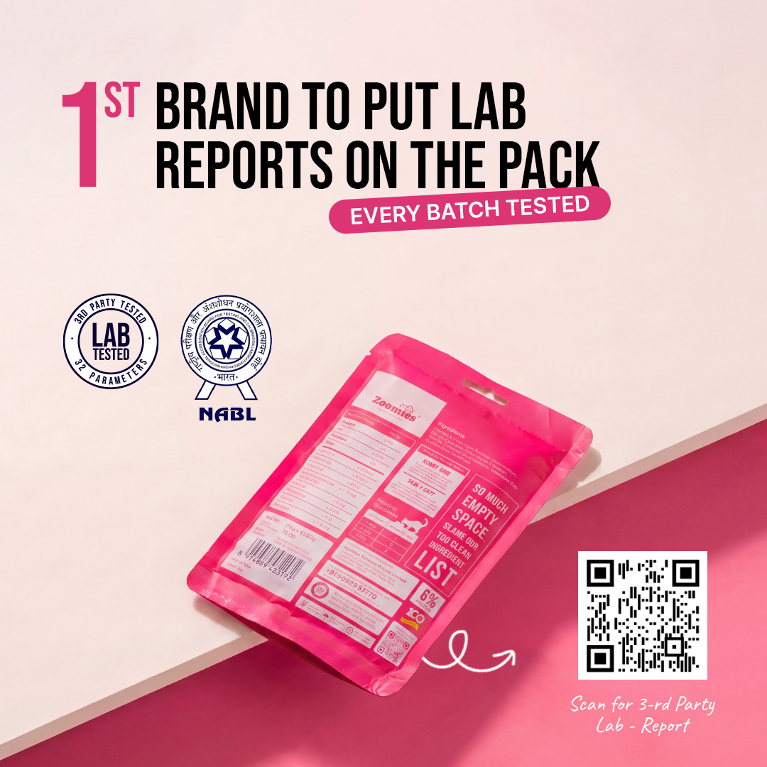 Bribe - Skin & Coat (Lab reprts)