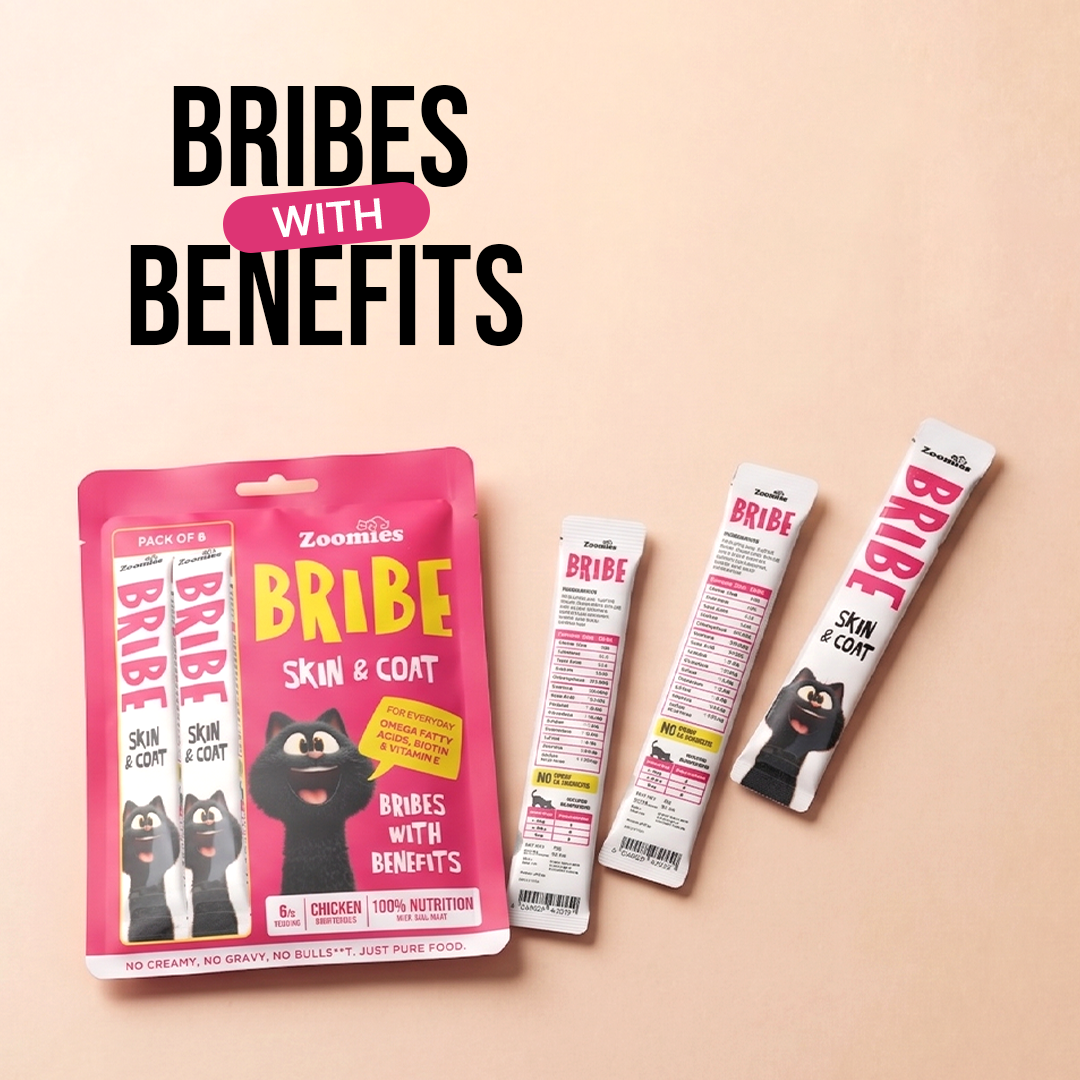 Bribe - Skin & Coat
