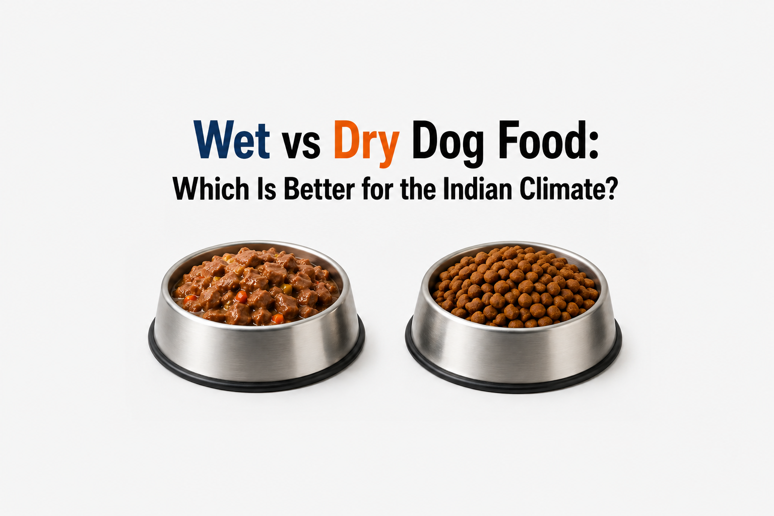 Wet vs Dry Dog Food: Which Is Better for Indian Climate?