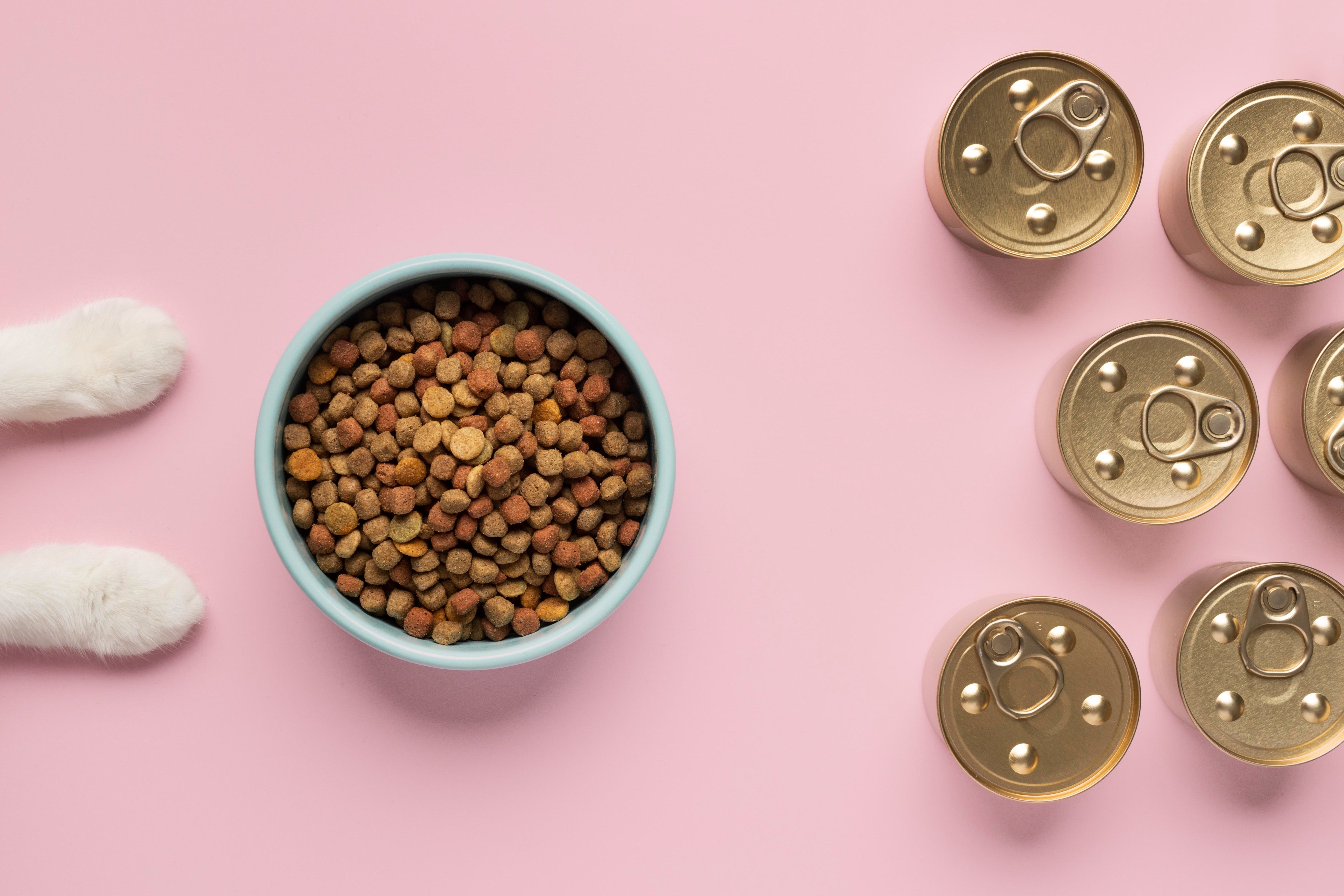 Best Cat Food in India: Wet vs Dry, Top Brands Reviewed 