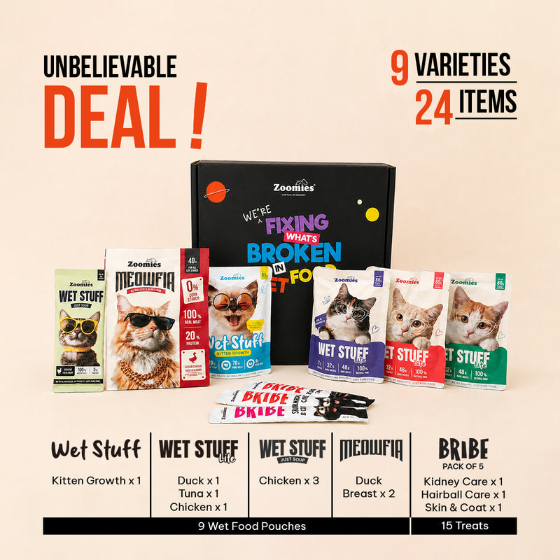 Kitten Cat Wet Food Trial Pack & Treats