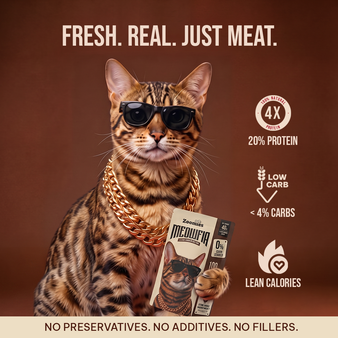 Meowfia - Pure Chicken Breast cat Treat or topper (40g)