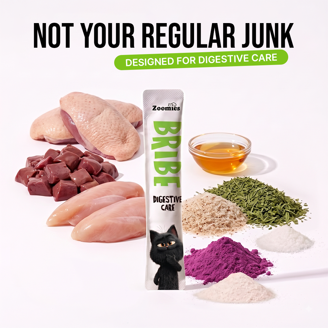 BRIBE- Digestive Care (15g) | Pack of 5