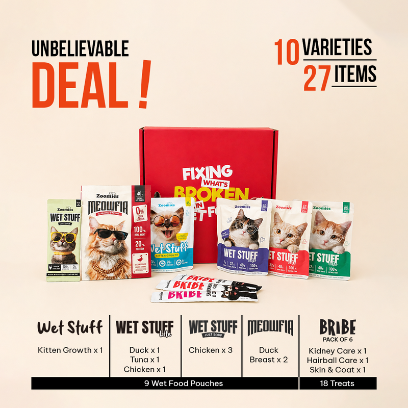 Wet Kitten Food Trial Pack