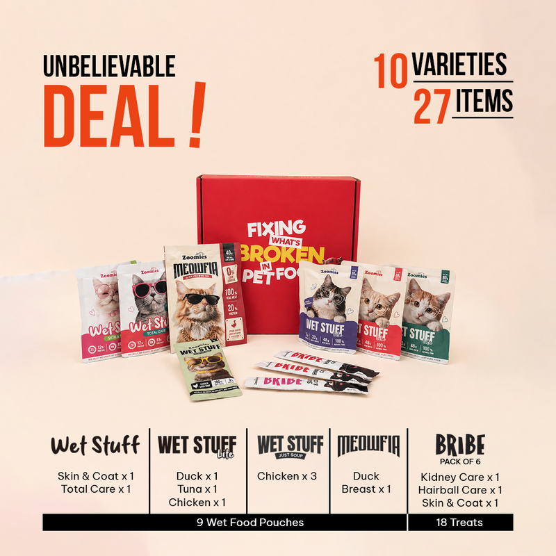 Adult Cat Wet Food Trial Pack & Treats