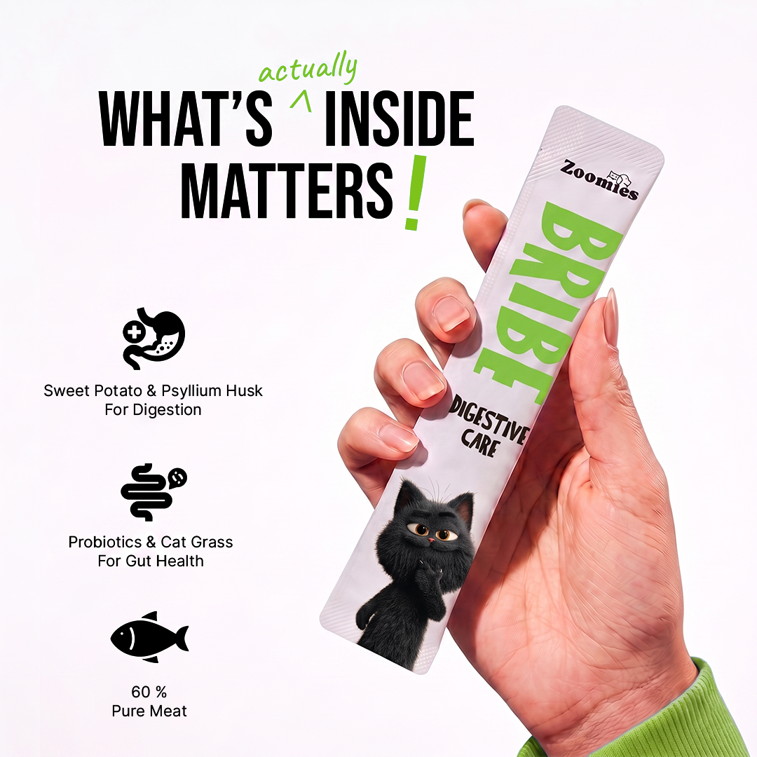 BRIBE- Digestive Care (15g) | Pack of 5