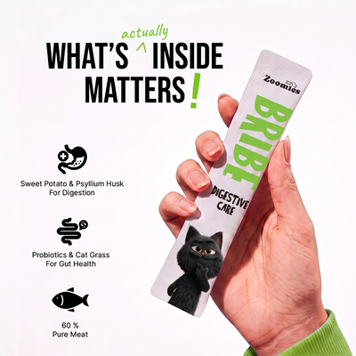 BRIBE- Digestive Care (15g) | Pack of 5