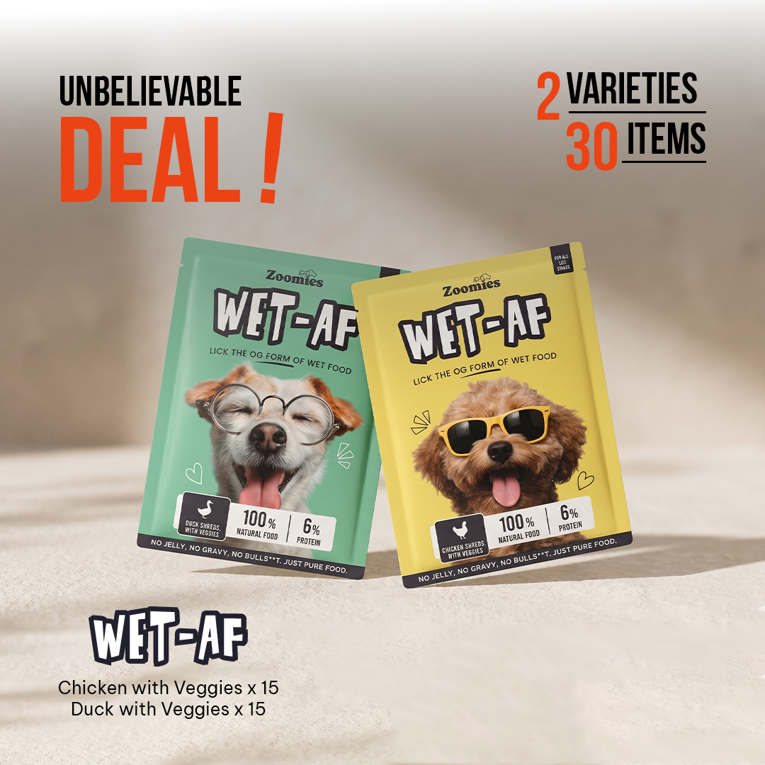 Essential Monthly Dog Food Pack