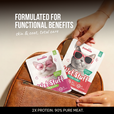 Adult Cat Wet Food Trial Pack & Treats
