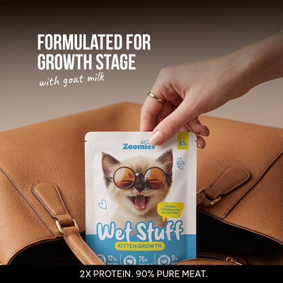 Wet Kitten Food Trial Pack