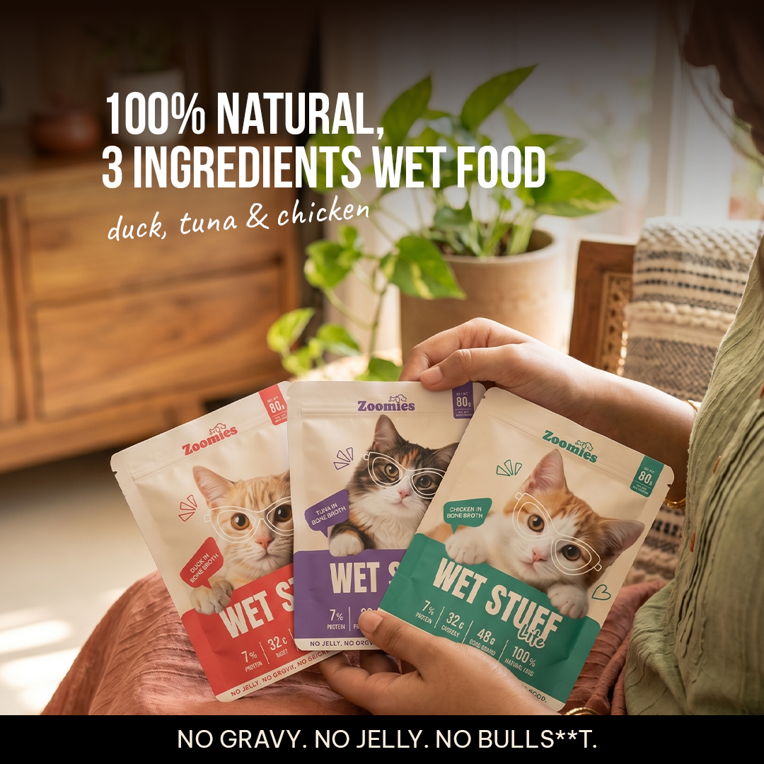 Adult Cat Wet Food Trial Pack & Treats