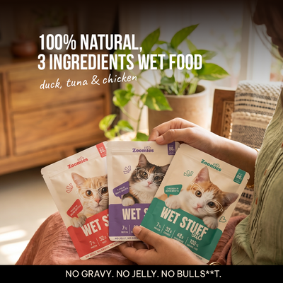 Adult Cat Wet Food Trial Pack & Treats