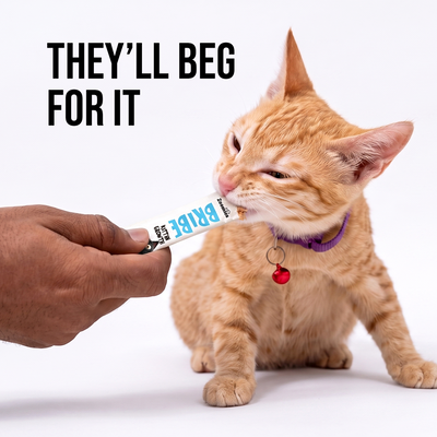 BRIBE- Kitten Growth (15g) | Pack of 5