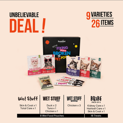 Adult Cat Trial Pack | Wet Cat Food & Treats Variety Pack