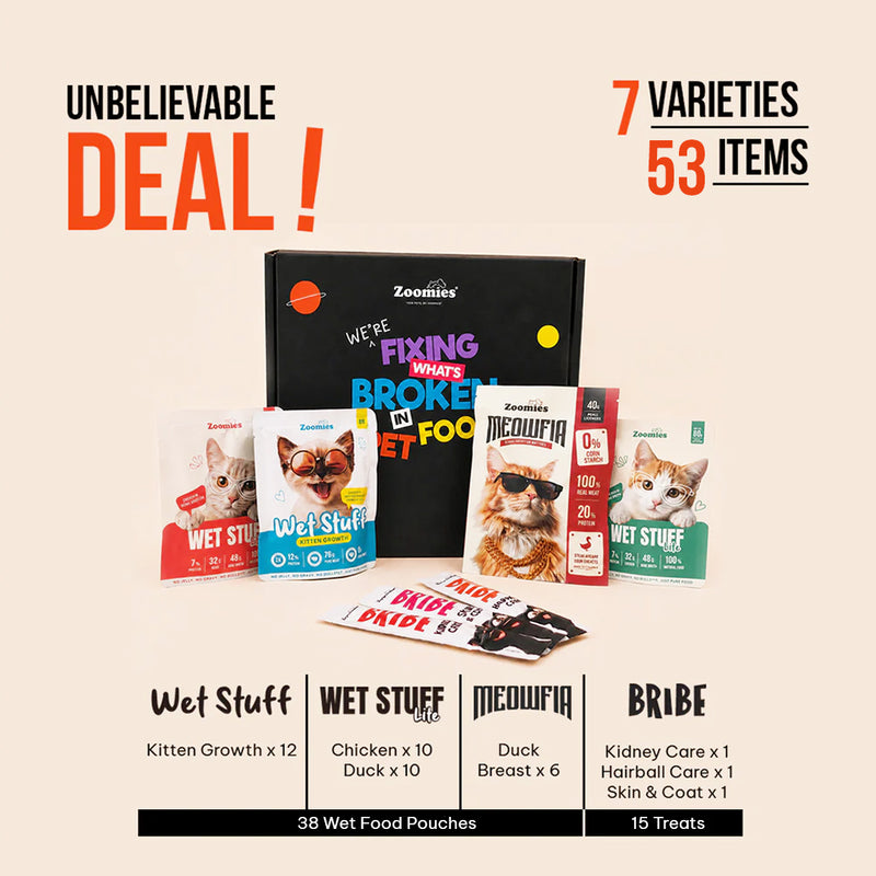 Kitten Monthly Essentials
