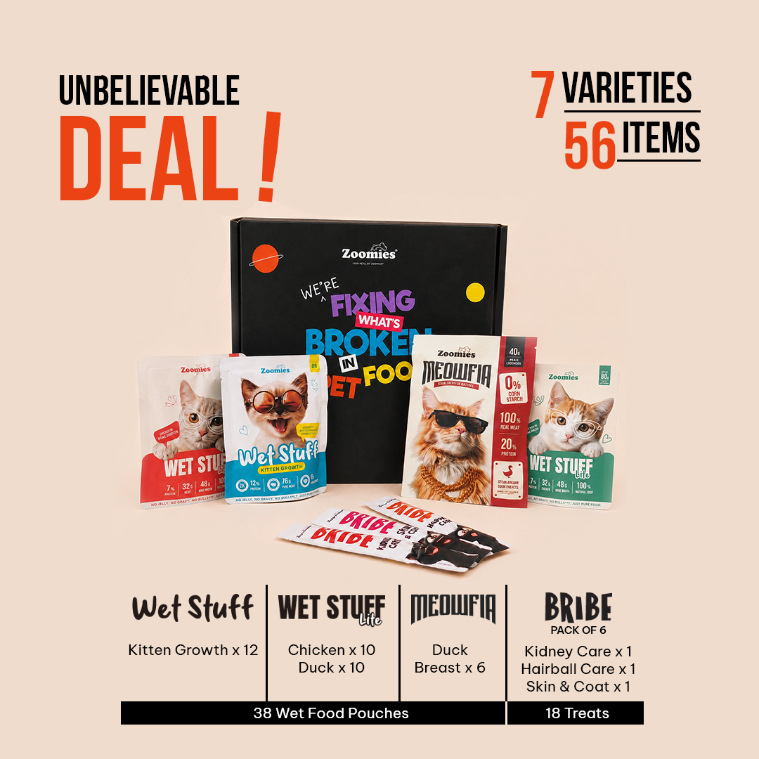 Kitten Monthly Essentials