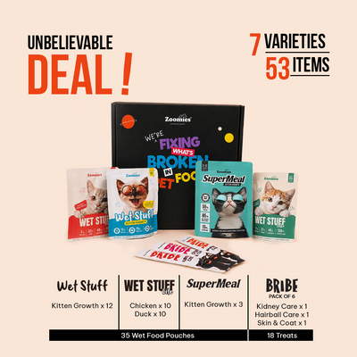 Kitten Monthly Essentials