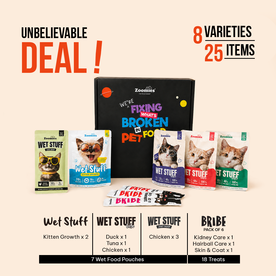 Kitten Trial Pack | Wet Kitten Food & Treats Variety Pack