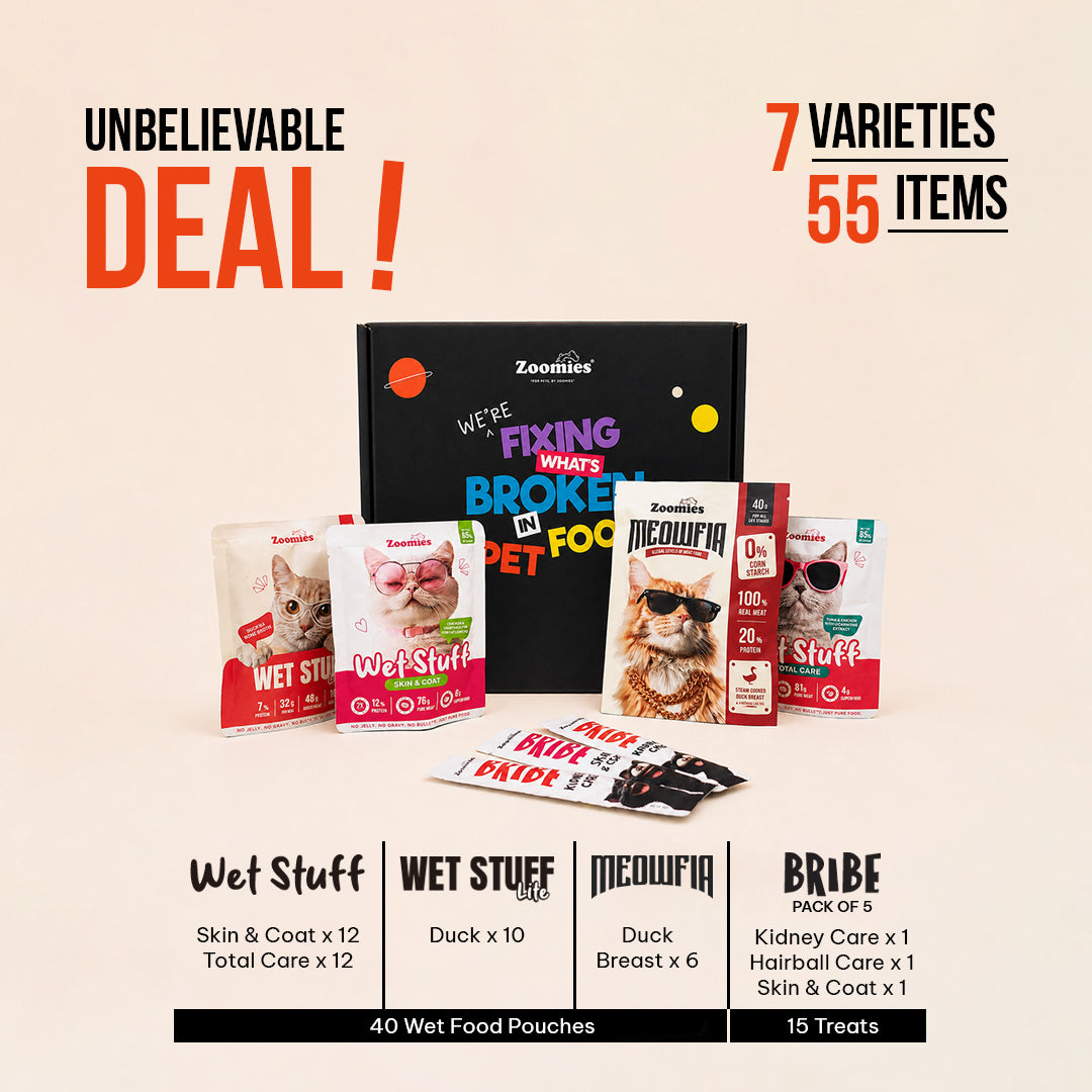 Adult Monthly Essentials