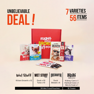 Kitten Monthly Essentials Deal