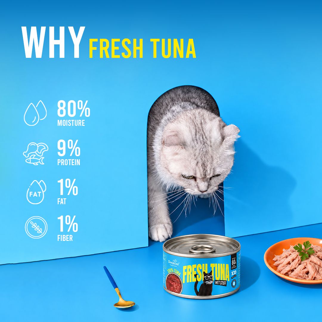 Fresh Tuna