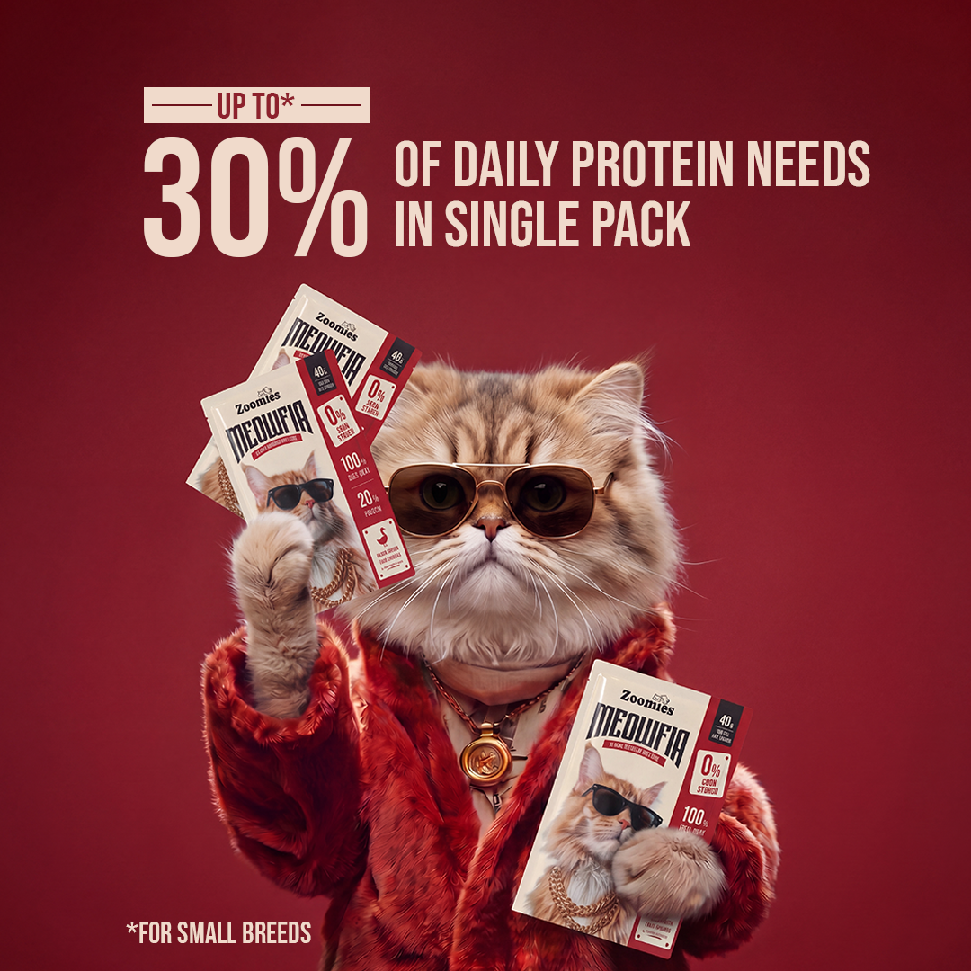 Meowfia Wet Cat Food (Offer)