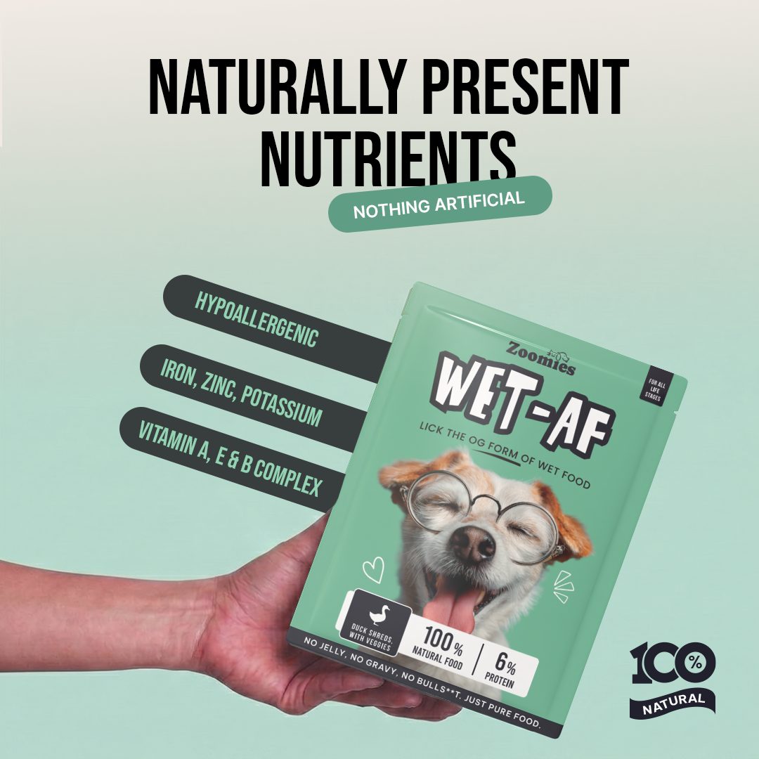 Wet AF - Duck Breast Shreds with Veggies & Flax Seeds Dog Wet Food (80g)