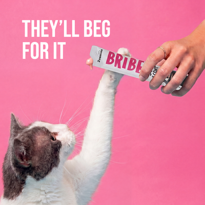 Bribe - Skin & Coat