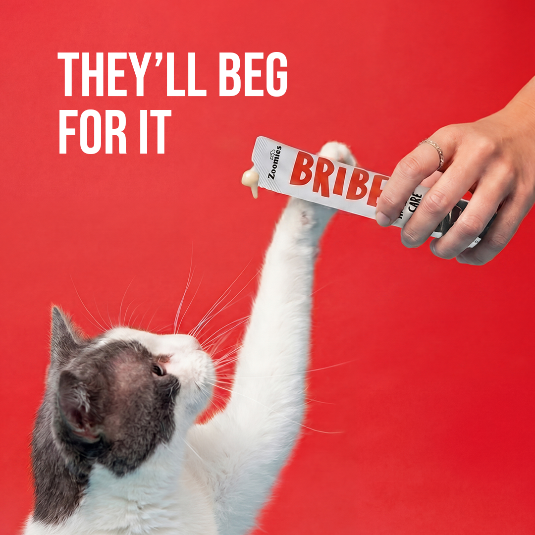Bribe - Kidney Care