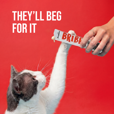 Bribe - Kidney Care