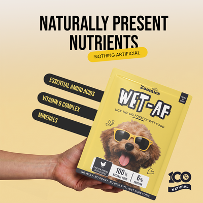 Wet AF - Chicken Breast Shreds with Veggies & Flax Seeds Dog Wet Food (80g)