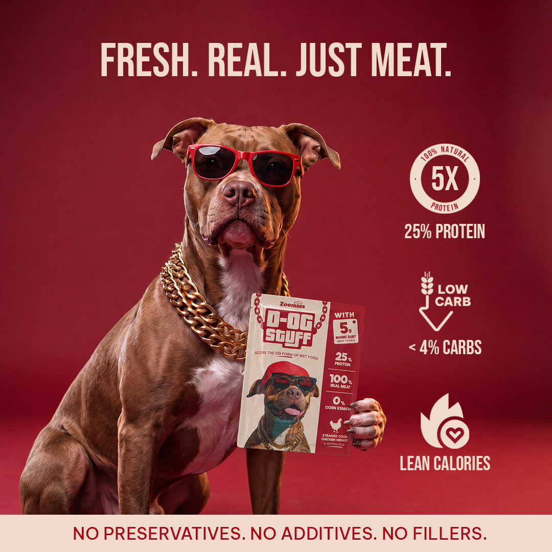 Premium high protein dog food
