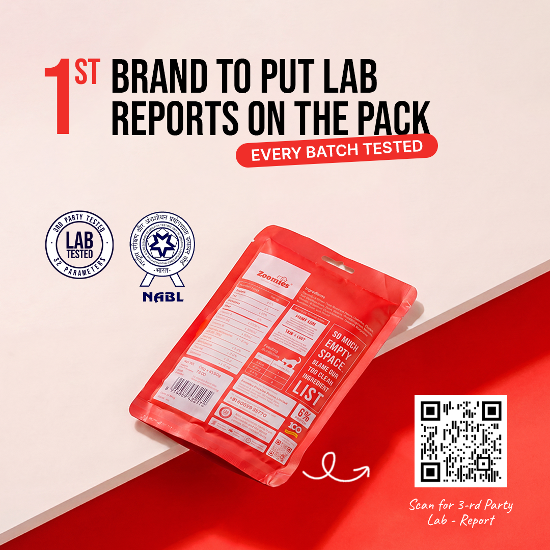 Bribe - Kidney Care (Lab report)