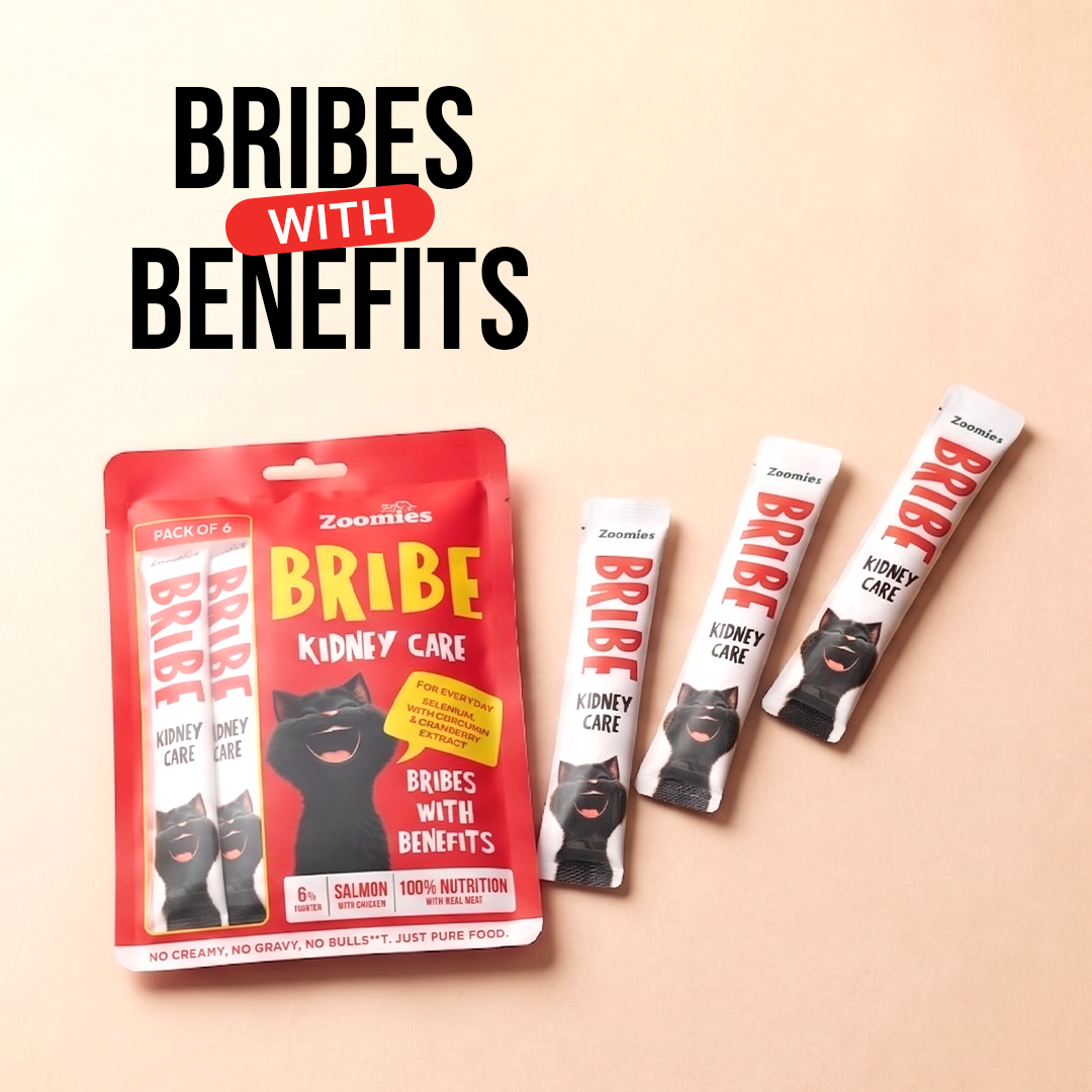 Bribe - Kidney Care (Benefits)
