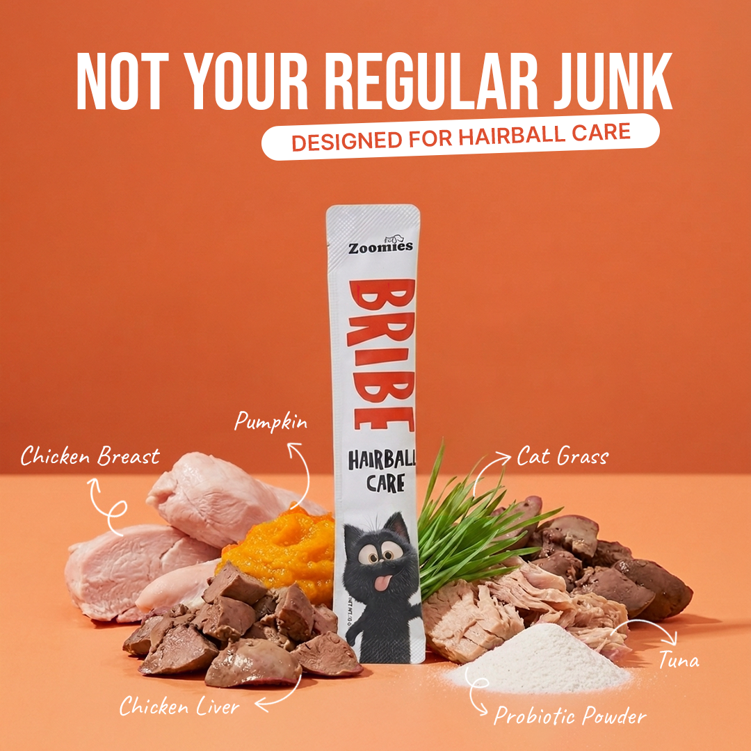 Bribe - Hairball Care(Contents)